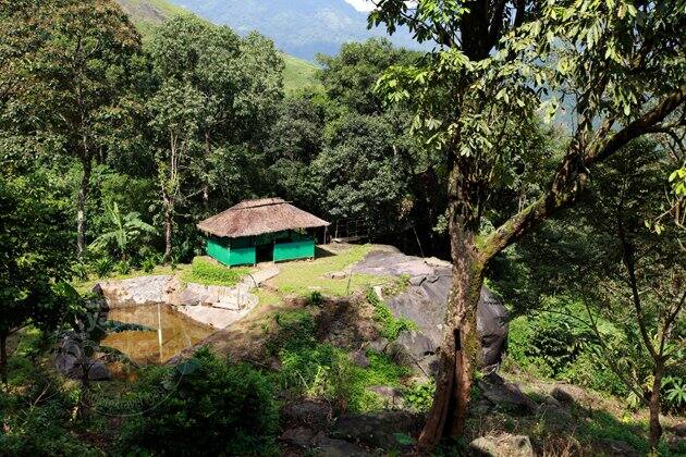 Chaliyar Palm Ghat Resorts, Malappuram 4